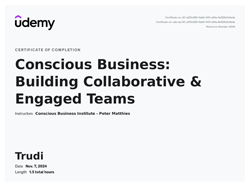 Conscious Business Building certificate