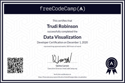 Data Visualization Certificate